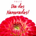 Feliz Dia dos Namorados! text in Portuguese: Happy ValentineÃ¢â¬â¢s Day! and red and pink dahlia flower Royalty Free Stock Photo
